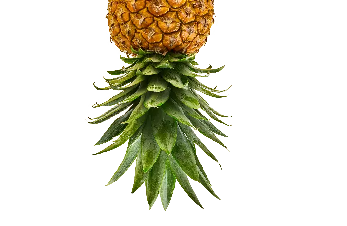 pineapple