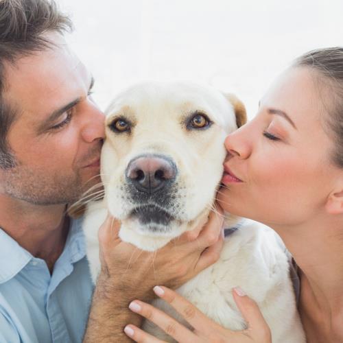 couple with their dog